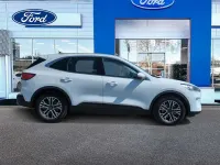 Usado Ford Kuga Titanium 226 CV (166 kW) 2020 Blanco SUV