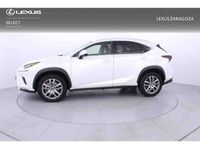 usado Lexus NX300 300h Business 2WD