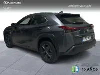 Usado Lexus UX 300h 199 CV (146 kW) 2024 Gris SUV