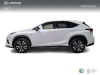 Usado Lexus NX300h Sport Line 197 CV (144 kW) 2020 Blanco SUV