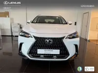 Usado Lexus NX350h 242 CV (177 kW) 2025 Blanco SUV