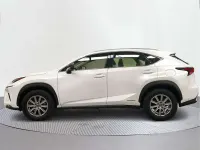 Usado Lexus NX300h Business Edition 197 CV (144 kW) 2020 SUV
