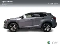 Usado Lexus NX300h 197 CV (144 kW) 2021 Gris SUV
