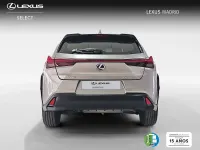 Usado Lexus UX Business Edition 184 CV (135 kW) 2022 Plateado SUV