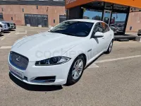 Usado Jaguar XF Premium Luxury 200 CV (147 kW) 2014 Blanco Berlina