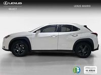 Usado Lexus UX 250h Business Edition 185 CV (136 kW) 2022 Blanco SUV