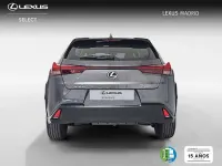 Usado Lexus UX 199 CV (146 kW) 2025 Gris SUV