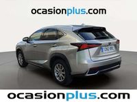 Usado Lexus NX300h Business Edition 197 CV (144 kW) 2018 Gris SUV