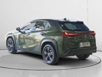 Usado Lexus UX 250h Business Edition 184 CV (135 kW) 2022 SUV