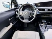 Usado Lexus UX 250h Business Edition 184 CV (135 kW) 2022 Gris SUV