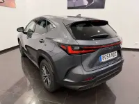 Usado Lexus NX450h+ 218 CV (160 kW) 2025 Gris SUV