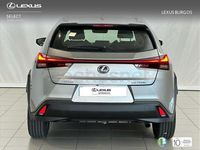Usado Lexus UX Business Edition 184 CV (135 kW) 2022 Gris / plata SUV