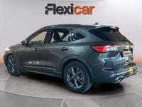 Usado Ford Kuga ST-Line 120 CV (88 kW) 2024 Gris SUV