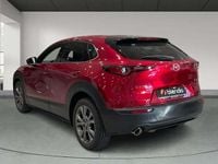 Usado Mazda CX-30 Exclusive 188 CV (138 kW) 2025 Rojo SUV