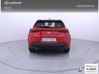 Usado Lexus UX 250h Business Edition 184 CV (135 kW) 2022 Rojo SUV