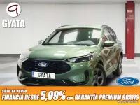 Usado Ford Kuga ST-Line 243 CV (178 kW) 2025 Verde SUV