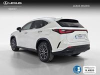 Usado Lexus NX450h+ 306 CV (225 kW) 2025 Blanco SUV