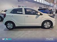 Usado Kia Picanto 67 CV (49 kW) 2021 Blanco Utilitario