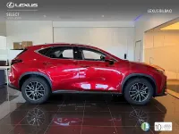 Usado Lexus NX450h+ 292 CV (214 kW) 2025 Rojo SUV