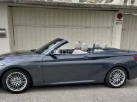 Usado BMW 218 Comfort Edition 150 CV (110 kW) 2019 Gris / plata Descapotable