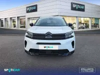 Usado Citroën C5 Aircross 131 CV (96 kW) 2025 Blanco SUV