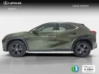 Usado Lexus UX Business Edition 183 CV (134 kW) 2022 Verde SUV