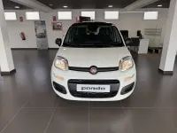 Nieuw Fiat Panda Icon 100 PK (73 kW) 2025 Wit Hatchback