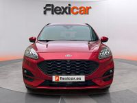 Usado Ford Kuga ST-Line 150 CV (110 kW) 2022 Rojo SUV
