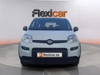 Usado Fiat Panda Cross Cross 71 CV (52 kW) 2024 Blanco Utilitario