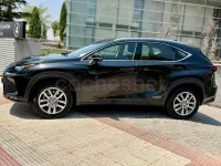 Usado Lexus NX300h Business Edition 197 CV (144 kW) 2020 Negro SUV