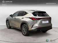 Usado Lexus NX450h+ 309 CV (227 kW) 2025 Gris SUV