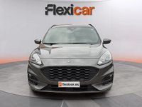 Usado Ford Kuga ST-Line 120 CV (88 kW) 2024 Gris SUV