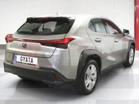 Usado Lexus UX Business Edition 184 CV (135 kW) 2021 Gris / plata SUV