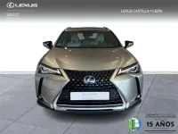 Usado Lexus UX 250h Business Edition 184 CV (135 kW) 2022 Gris SUV