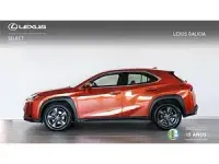 Usado Lexus UX 250h Business Edition 184 CV (135 kW) 2022 Naranja SUV