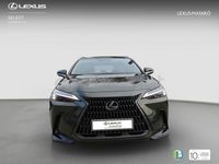 Usado Lexus NX350h 242 CV (177 kW) 2025 Verde SUV