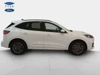 Usado Ford Kuga ST-Line 150 CV (110 kW) 2024 Blanco SUV