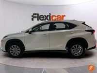 Usado Lexus NX300h Business Edition 197 CV (144 kW) 2019 Blanco SUV