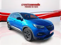 Usado Opel Grandland X Selective 131 HP (96 kW) 2019 Azul SUV