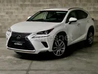 Usado Lexus NX300h Executive Line 197 CV (144 kW) 2018 Blanco SUV