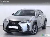 Usado Lexus UX 250h Sport Line 184 CV (135 kW) 2020 Gris SUV
