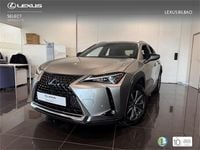 Usado Lexus UX 300e Business Edition 150 kW (204 CV) 2021 Otro SUV