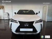 Usado Lexus UX 250h 184 CV (135 kW) 2022 Blanco SUV