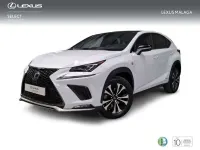 Usado Lexus NX300h Sport Line 197 CV (144 kW) 2020 Blanco SUV