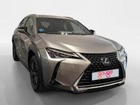 Usado Lexus UX 250h Business Edition 184 CV (135 kW) 2022 Otro SUV