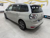 Usado Citroën C4 Feel 130 CV (95 kW) 2021 Beige