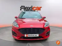 Usado Ford Kuga ST-Line 225 CV (165 kW) 2022 Rojo SUV