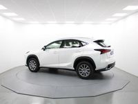 usado Lexus NX300h Business Navigation 2wd