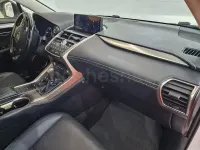 Usado Lexus NX300h 197 CV (144 kW) 2020 Blanco SUV