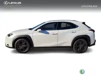 Nuevo Lexus UX 198 CV (145 kW) 2026 Blanco SUV